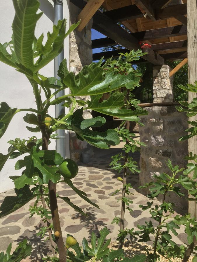 Vitamin B63 Vendeghaz Boldogkovaralja Eksteriør bilde